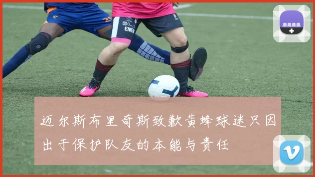 迈尔斯布里奇斯致歉黄蜂球迷只因出于保护队友的本能与责任